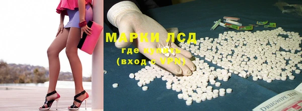 ПСИЛОЦИБИНОВЫЕ ГРИБЫ Магас