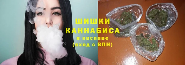ECSTASY Липки