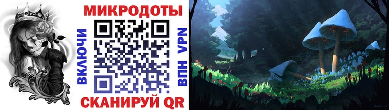 Псилоцибиновые грибы Psilocybe  Костерёво 